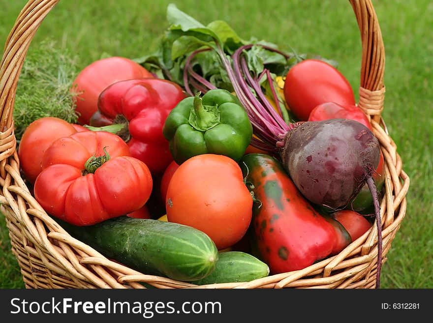 Basket with vegetables - autumn gifts of a nature