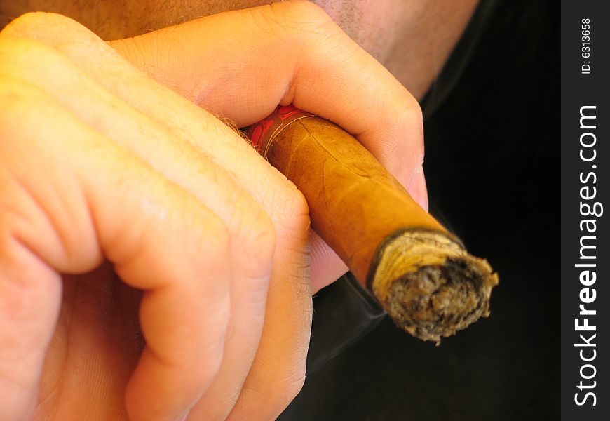 Male Hand Holding A Cigar