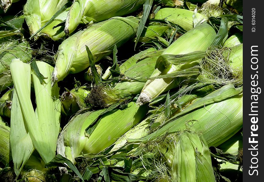 Cobs of corn, in a big heap at the local farmer's market.