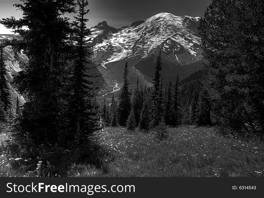 Majestic View of Mt Rainier at eastern approach at Sunset station. Sub-alpine flowers grace the meadows. Majestic View of Mt Rainier at eastern approach at Sunset station. Sub-alpine flowers grace the meadows.