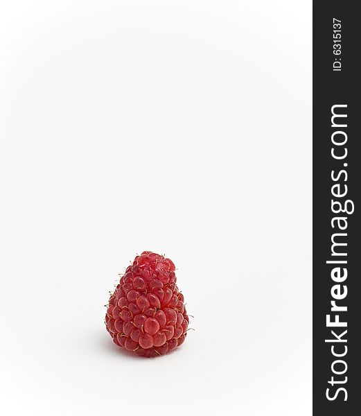 Raspberry on white background with copy space