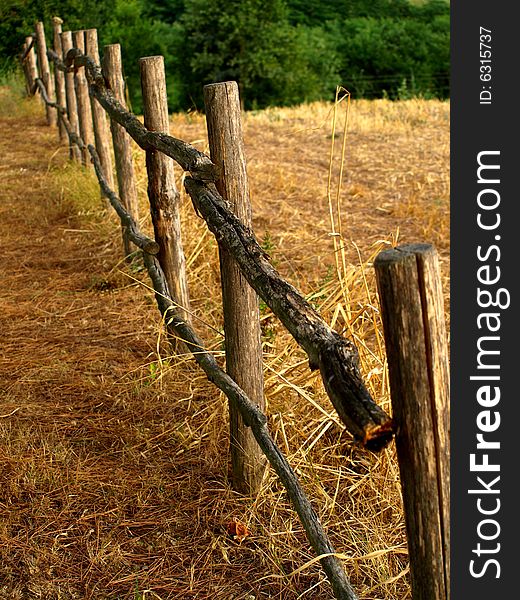 A dwtail of a fench in a field on countryside. A dwtail of a fench in a field on countryside