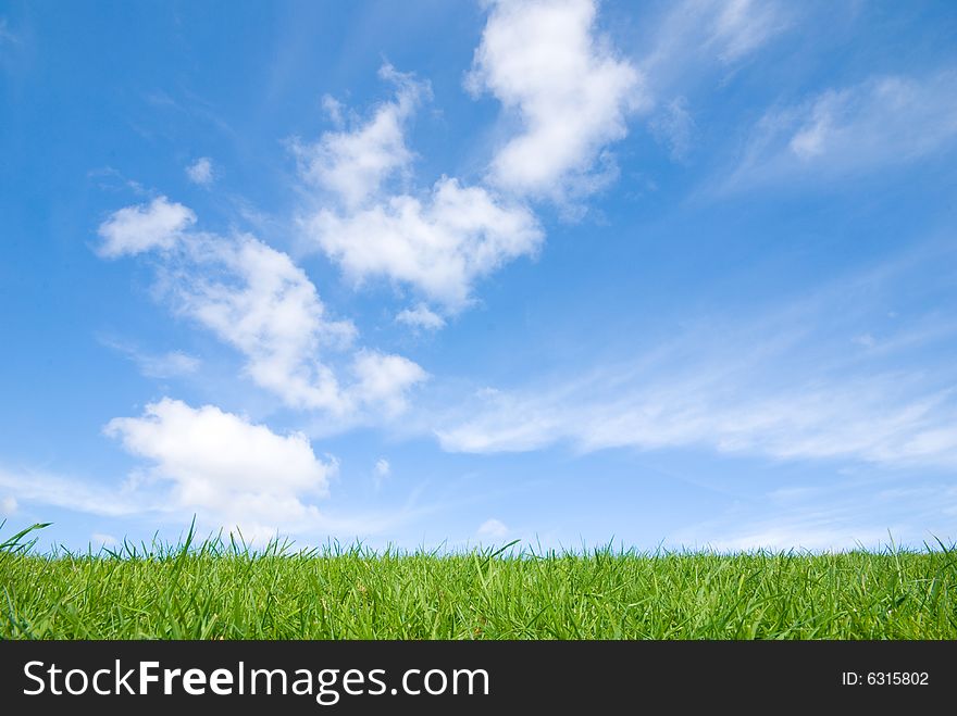 View of peaceful grassland, blue sky above and white clouds. View of peaceful grassland, blue sky above and white clouds