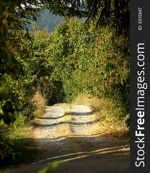 A good shot of a countryside path in Tuscany