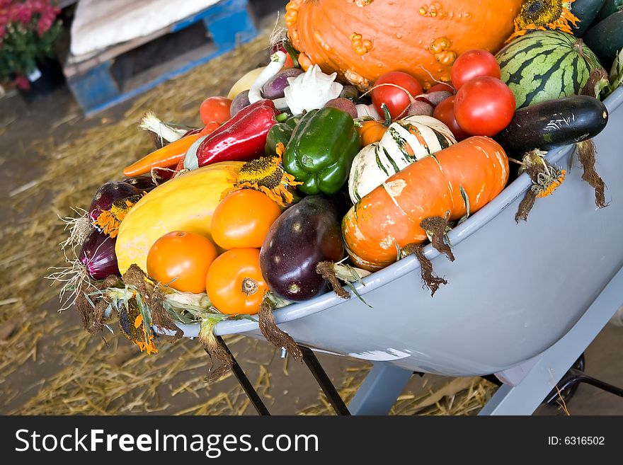 Wheelbarrow full of fall vegetables bright colors. Wheelbarrow full of fall vegetables bright colors