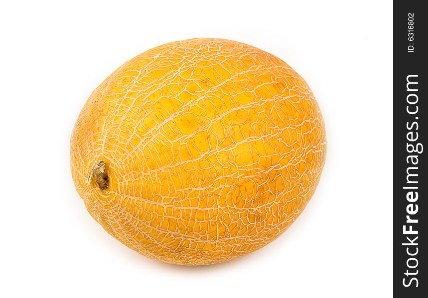 Plant and meal a yellow melon on 
a white background