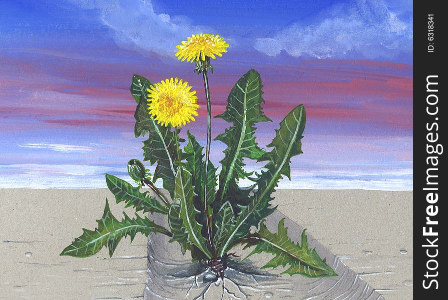 Hand made painting of dandelion flowers growing by the concrete. Hand made painting of dandelion flowers growing by the concrete