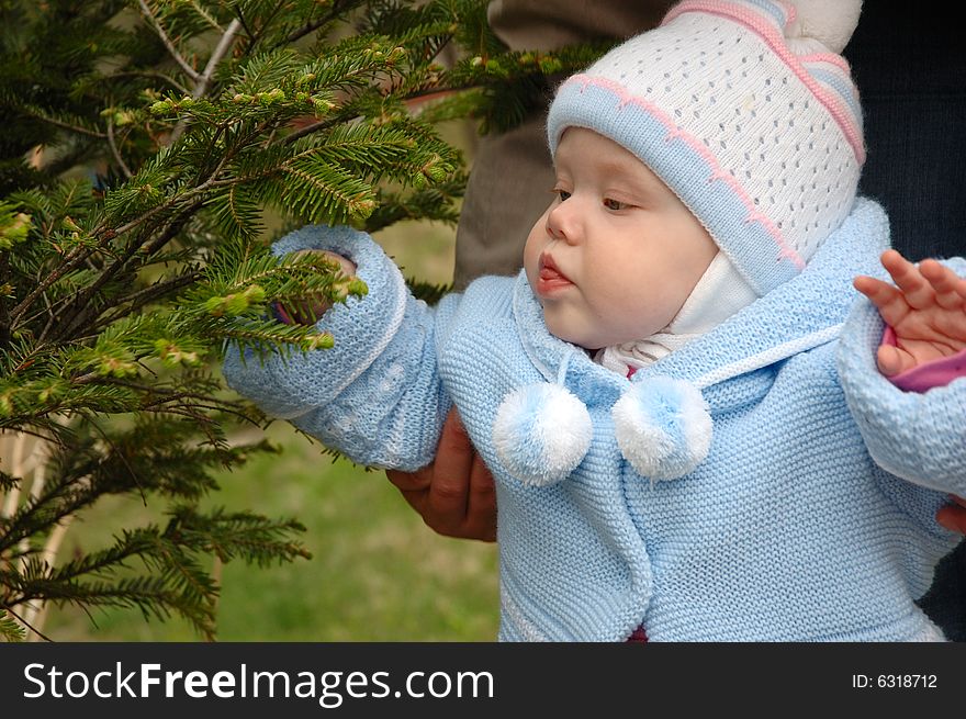 Pretty little girl play with conifer branchlets.