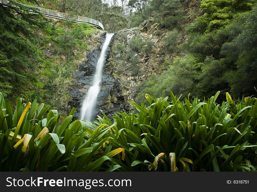Waterfall with green plants in foreground. Waterfall with green plants in foreground
