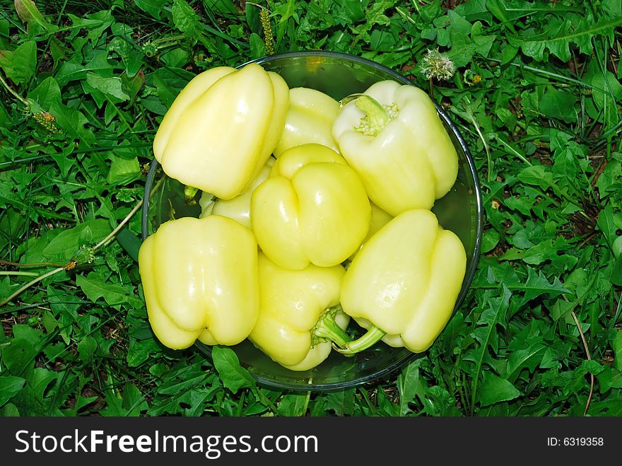 Yellow ripe juicy paprika in glass bowl over green grass