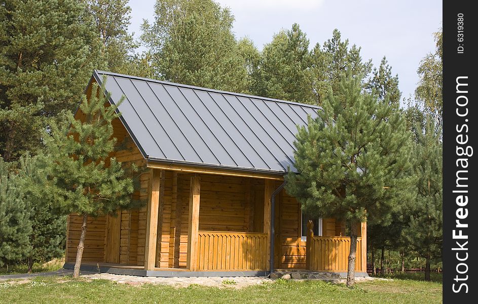 Rural houses,summer tree , Lithuania