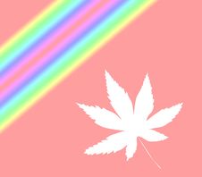 Abstract Leaf Royalty Free Stock Image