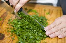 Freshly Cut Mix Of Dill And Chevril Stock Images