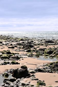 Beale Beach 7 Royalty Free Stock Image Beale Beach 7 Royalty Free Stock Image