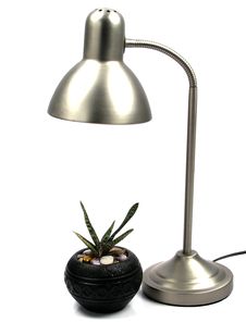 Lamp And Plant Royalty Free Stock Photos Lamp And Plant Royalty Free Stock Photos