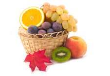 Red Maple Sheet And Ripe Fruit Stock Photography Red Maple Sheet And Ripe Fruit Stock Photography