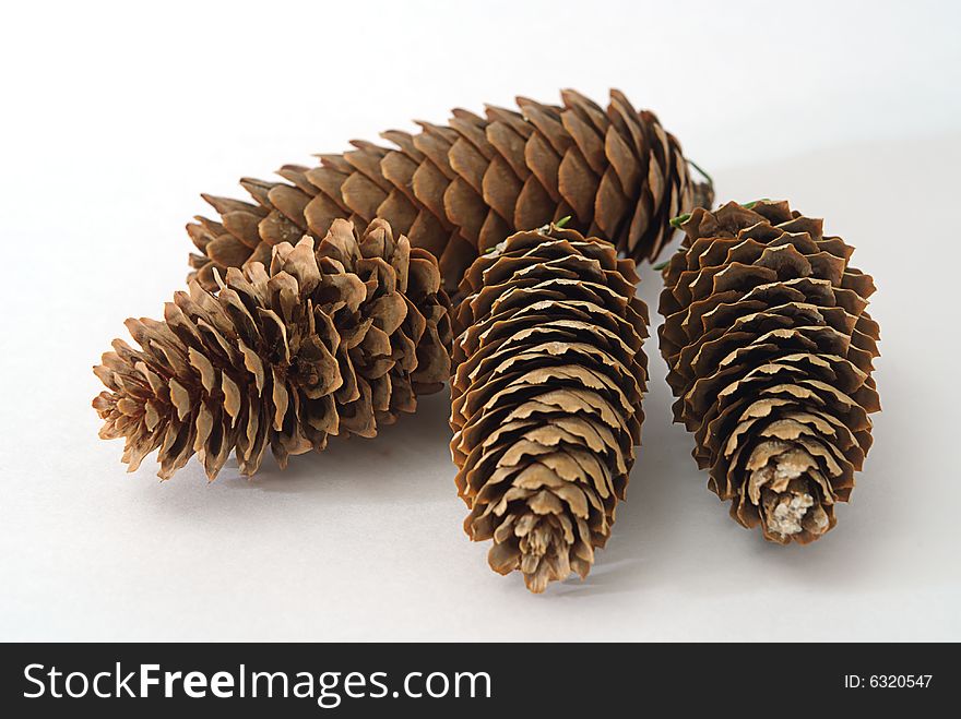 Four fir cones on white