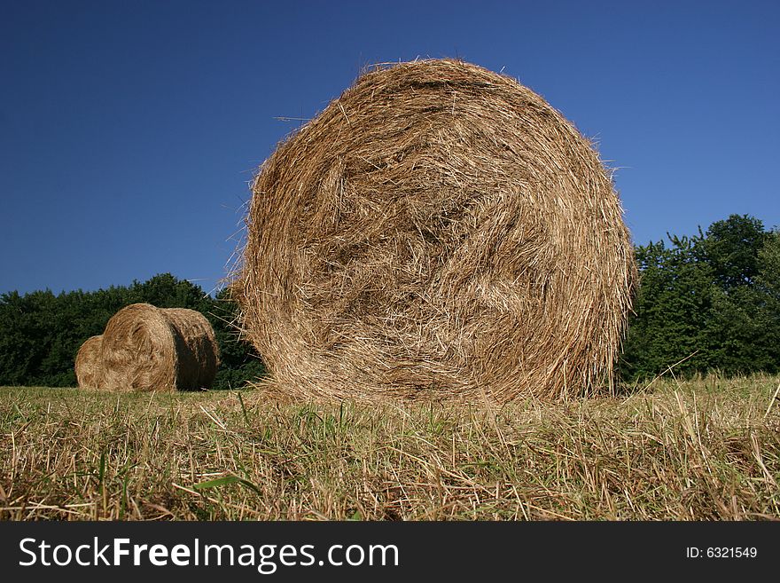 Idyllic field with hay bales in late summer