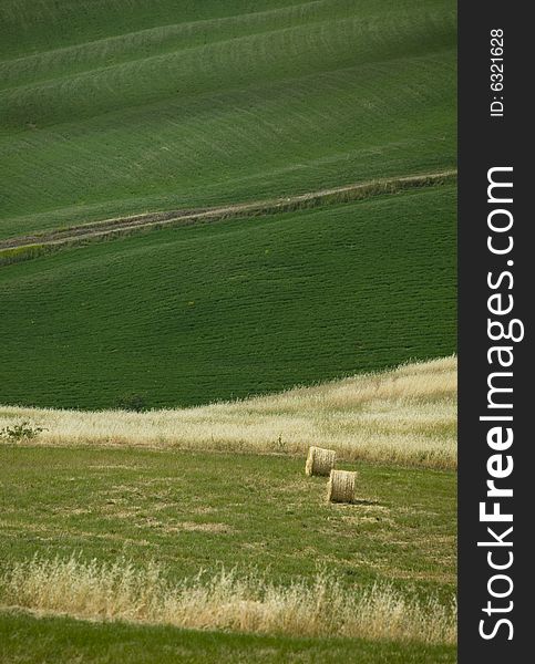 Tuscan countryside with hay-balls in the meadow. Tuscan countryside with hay-balls in the meadow