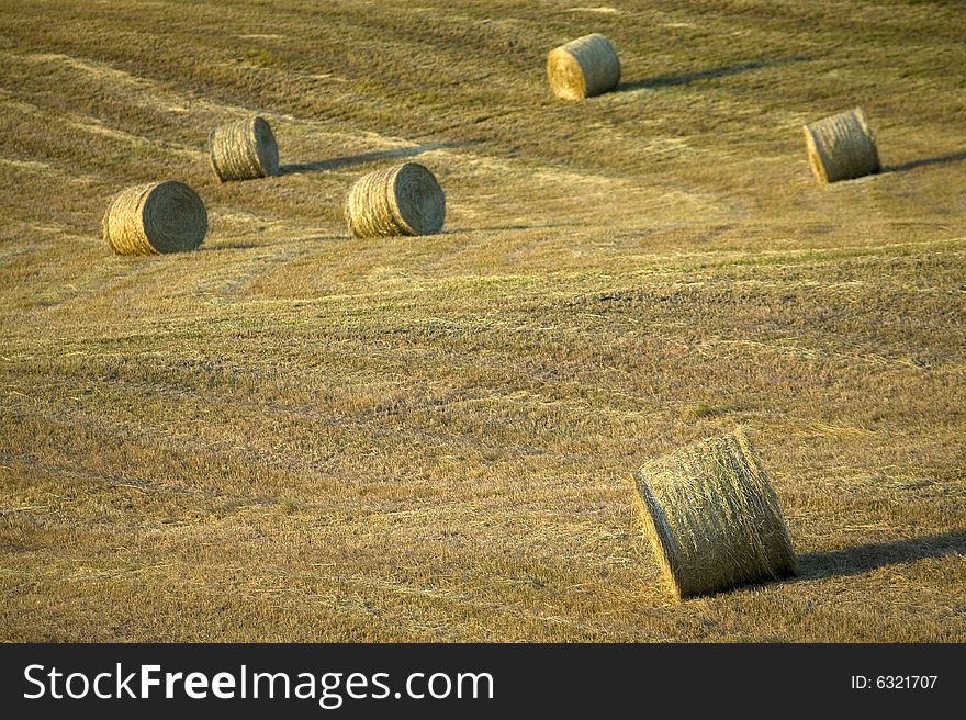 TUSCANY countryside, hay-balls on the meadow