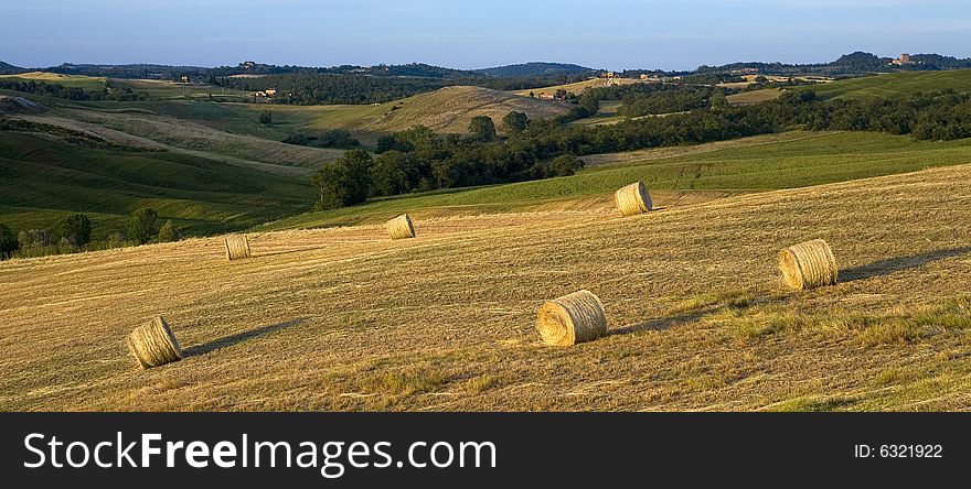 Tuscan countryside with hay-balls on the meadow. Tuscan countryside with hay-balls on the meadow