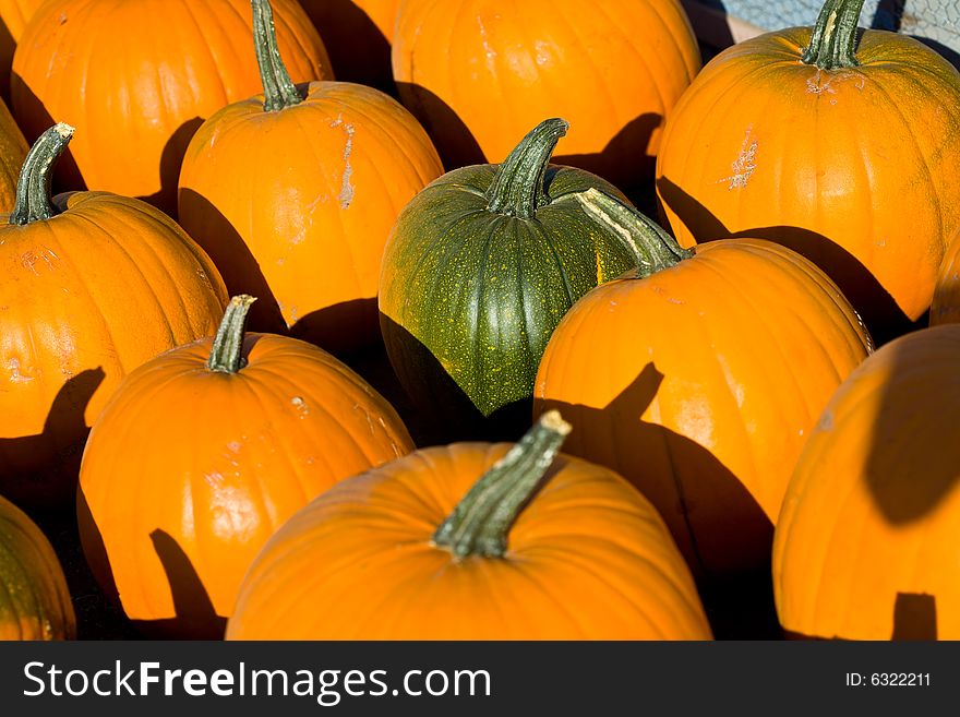 Ripe pumpkins on the farm closeup
