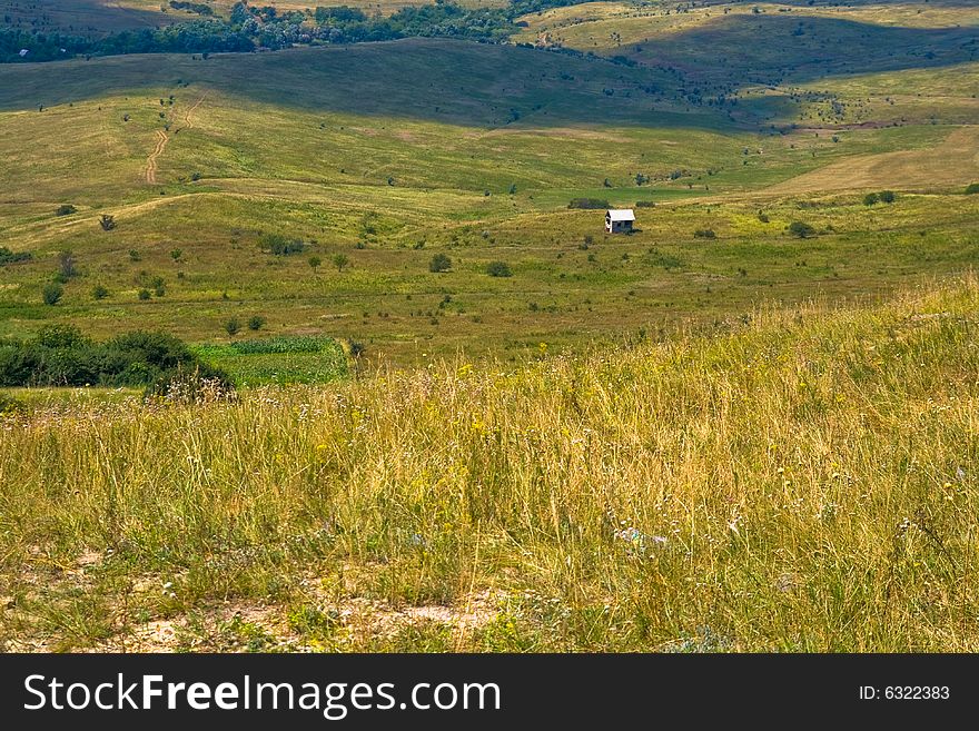 Summer landscape with single house in field