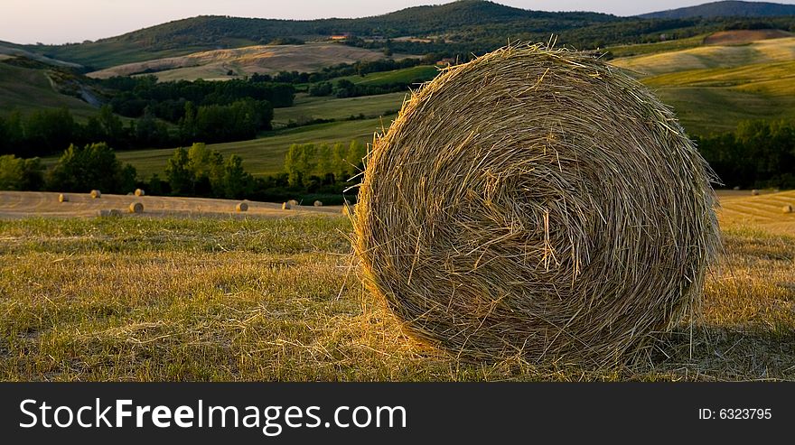 Tuscan countryside, close-up on a hay-ball. Tuscan countryside, close-up on a hay-ball