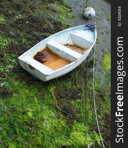 Rowing boat with buoy and seaweed. Rowing boat with buoy and seaweed