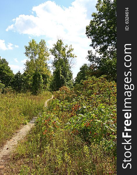 South hiking trail in inland marsh loop dunes state park, Indiana