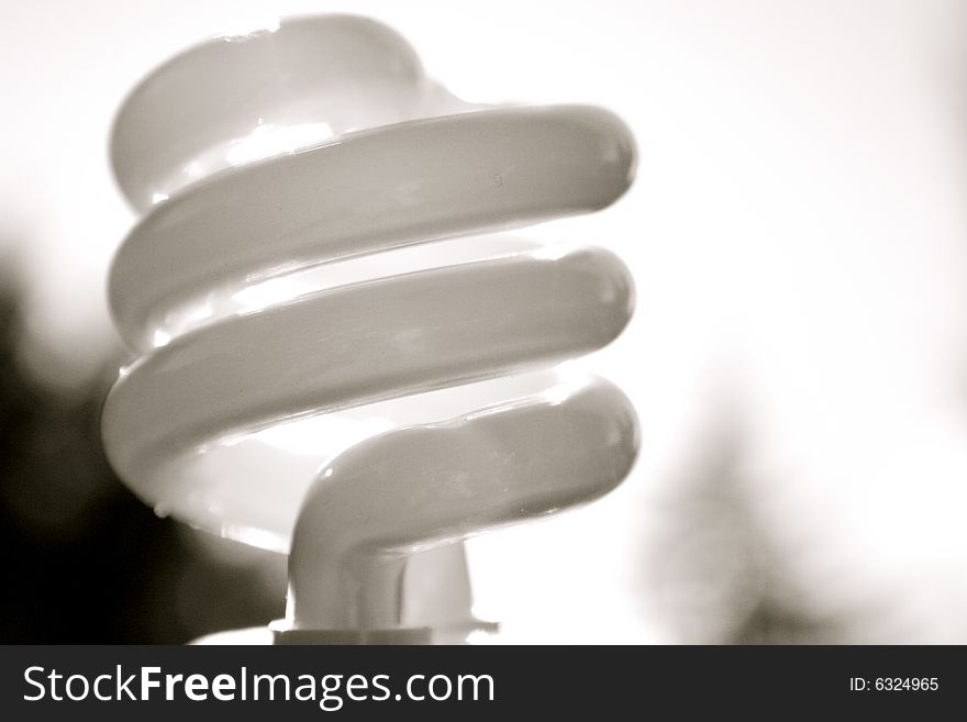 Compact Fluorescent lightbulb against a blurry, light background