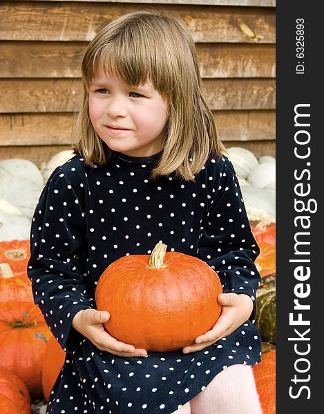 The girl in a dress sits and holds an orange pumpkin. The girl in a dress sits and holds an orange pumpkin