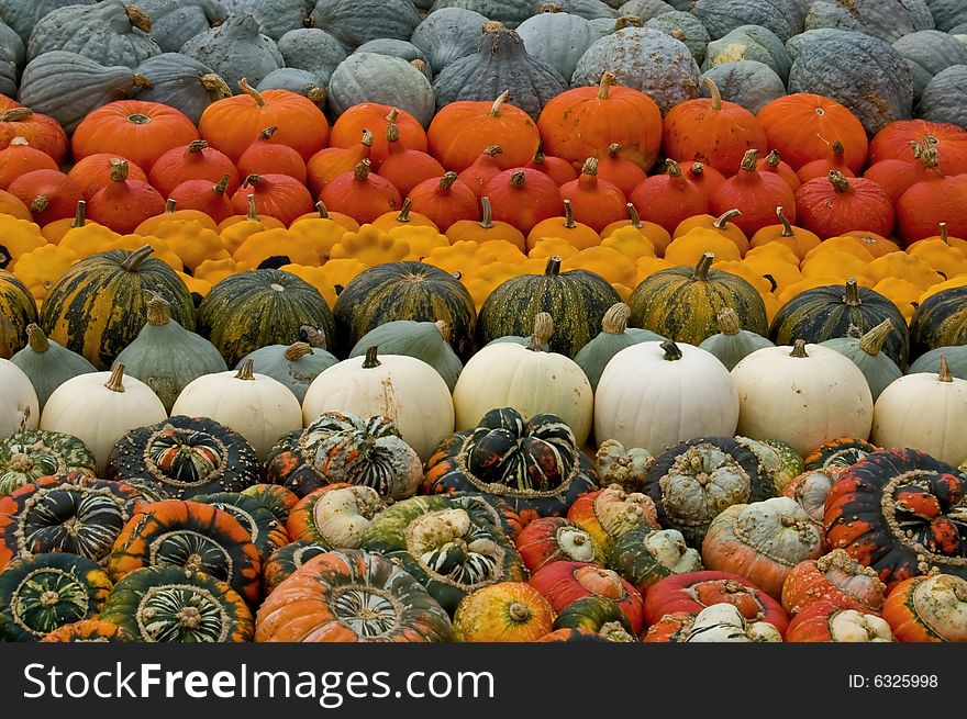 Multi-coloured Pumpkins