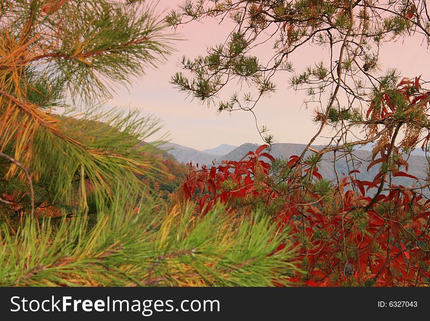 Window of autumn foliage forefront  peering through foliage to the Great Smoky Mountains layered in the background. Window of autumn foliage forefront  peering through foliage to the Great Smoky Mountains layered in the background