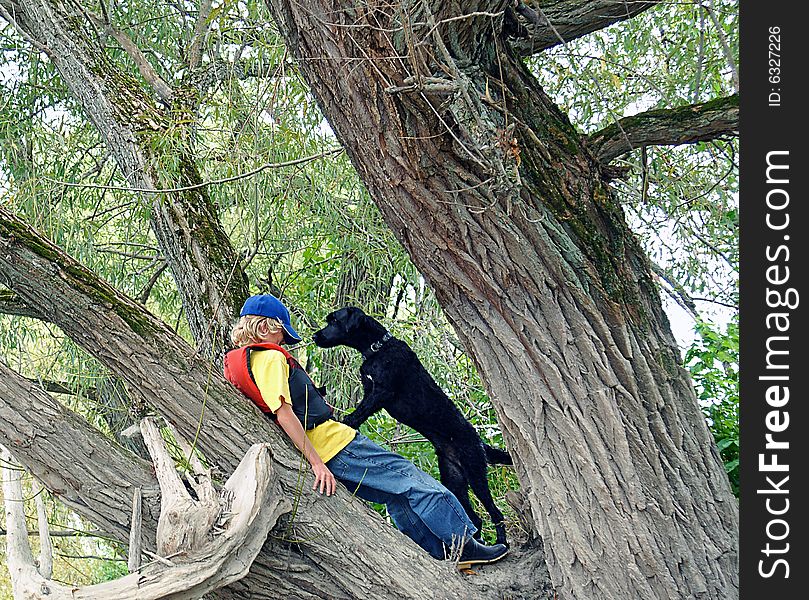 A boy plays with his pal, a Portuguese Water Dog in a Willow Tree on the bank of the Nottawasaga River, Ontario. A boy plays with his pal, a Portuguese Water Dog in a Willow Tree on the bank of the Nottawasaga River, Ontario.