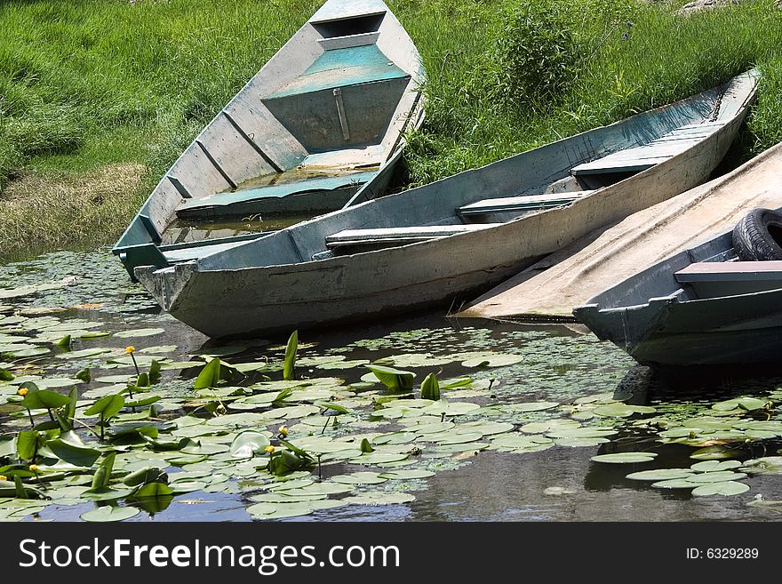 Sad picture of the old abandoned  boats in the rank pond