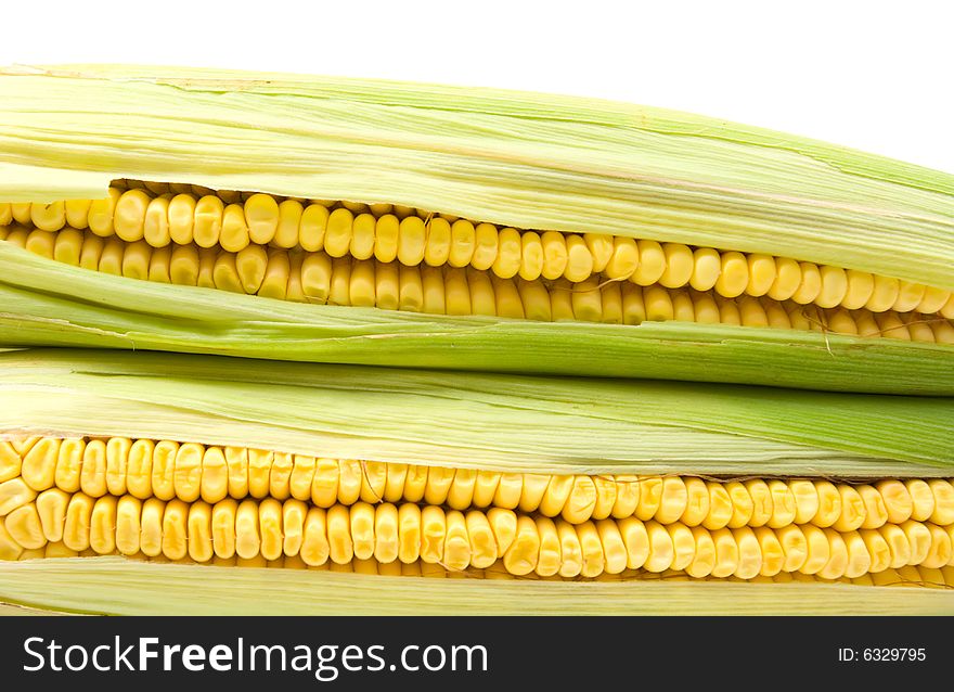 Two yellow corns on white background