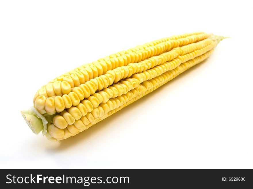 Fresh yellow corn on white