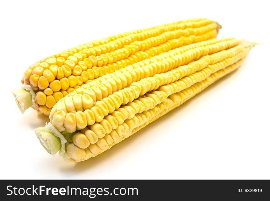Two fresh yellow corns isolated on white
