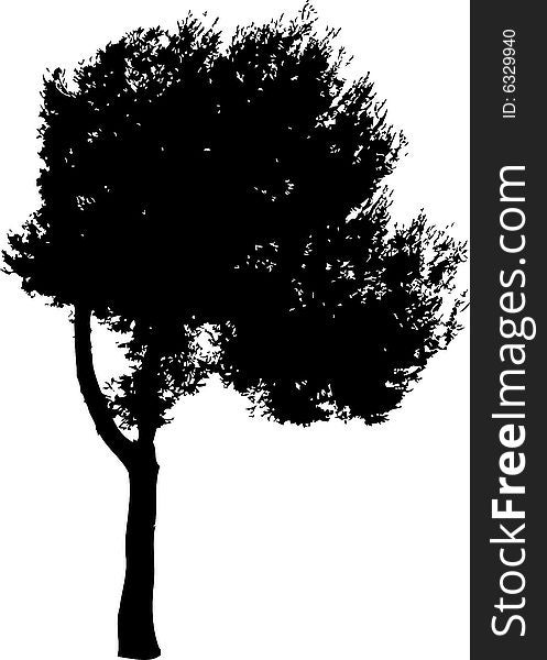 Vector silhouette of pine tree in wind