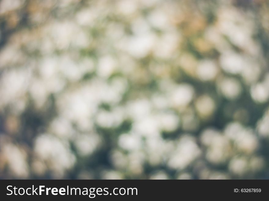 Abstract spring nature background