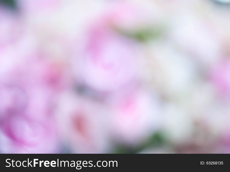Beautiful Abstract pink Blurred Background.