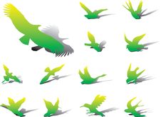 Set Icons - 13A. Birds Royalty Free Stock Images Set Icons - 13A. Birds Royalty Free Stock Images