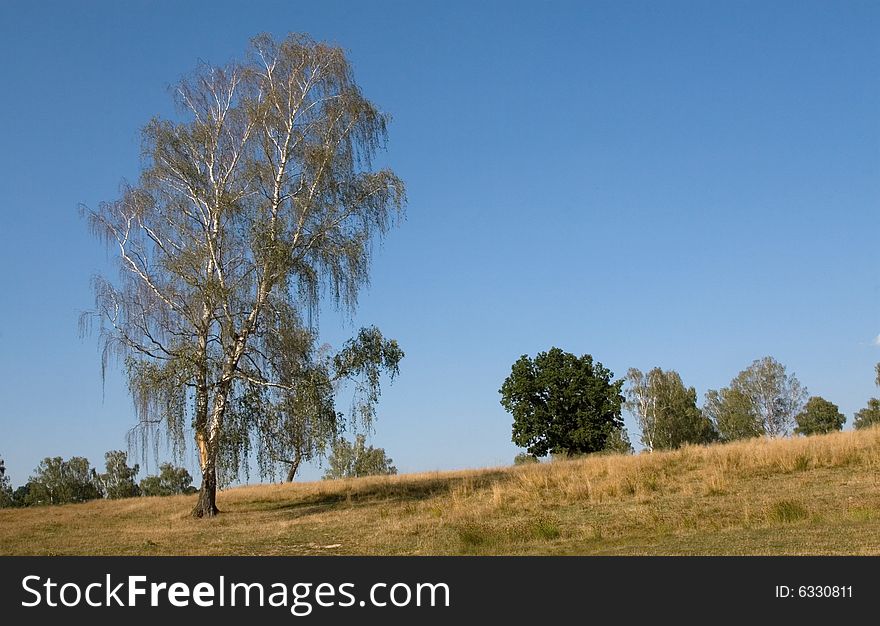 Beautiful cloudless landscape in a fall day. Beautiful cloudless landscape in a fall day