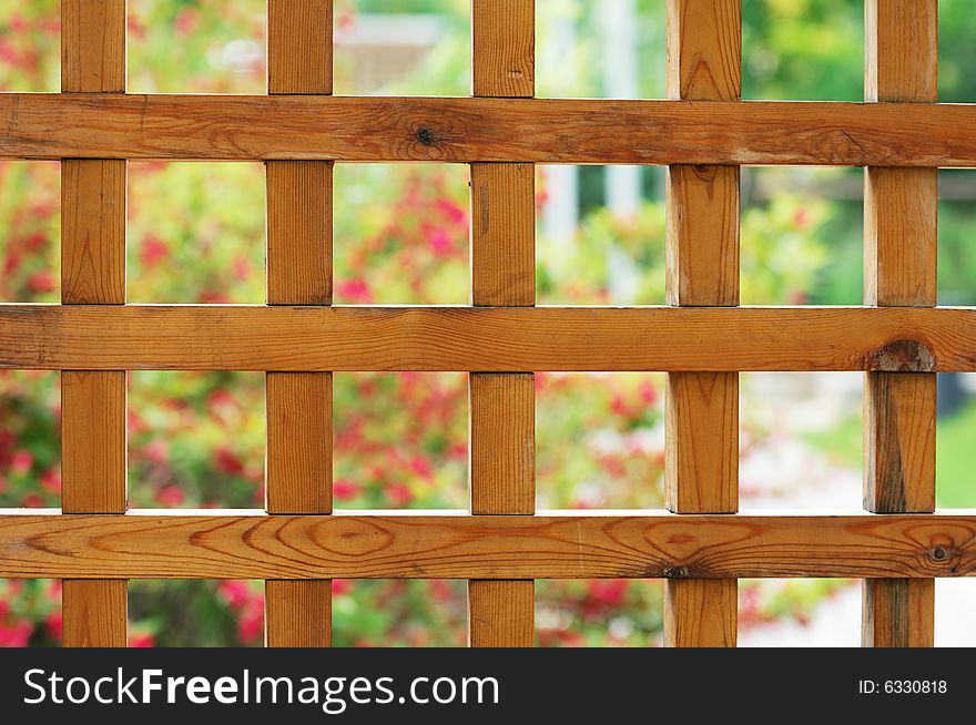 Portrait image of a garden lattice. Portrait image of a garden lattice.