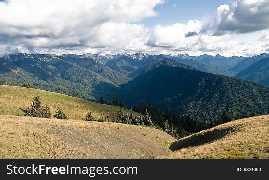 View while hiking up Hurricane Hill in Olympic National Park, Washington. View while hiking up Hurricane Hill in Olympic National Park, Washington