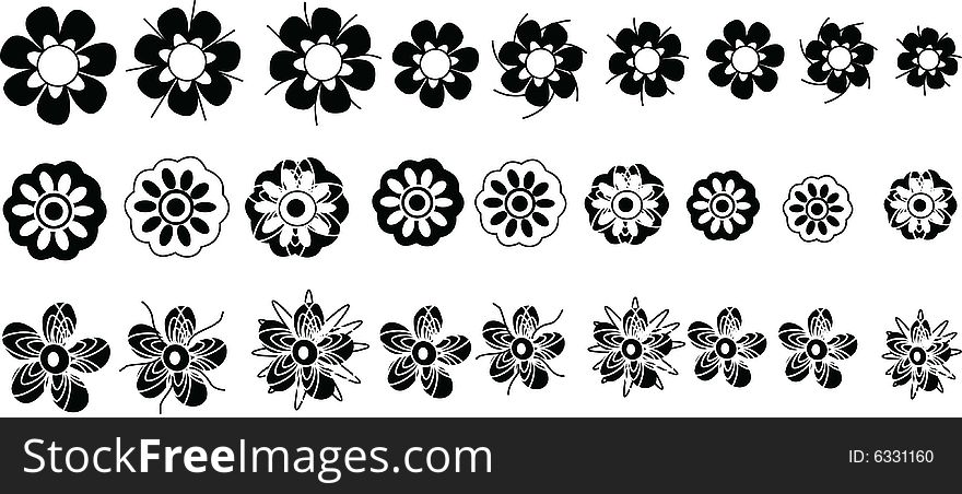Vector illustration of flowers for your design. Vector illustration of flowers for your design