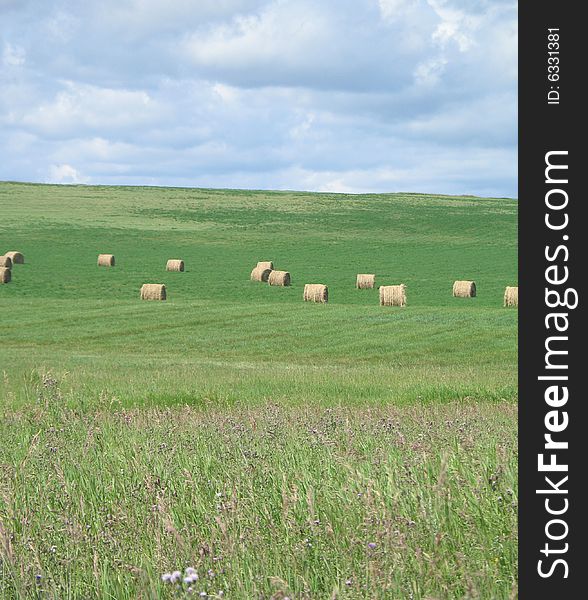 Bales of hay in a green wide field