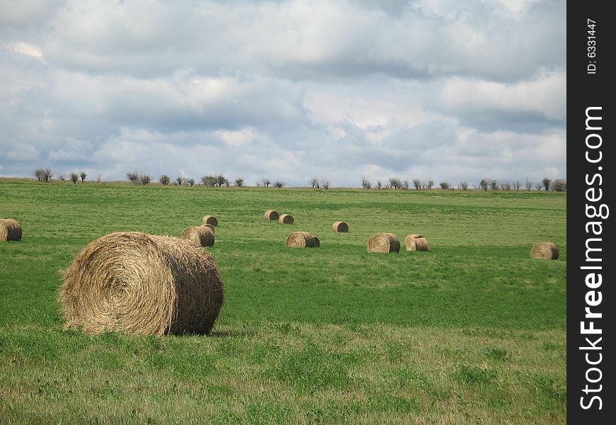 Bales of hay in a green wide field