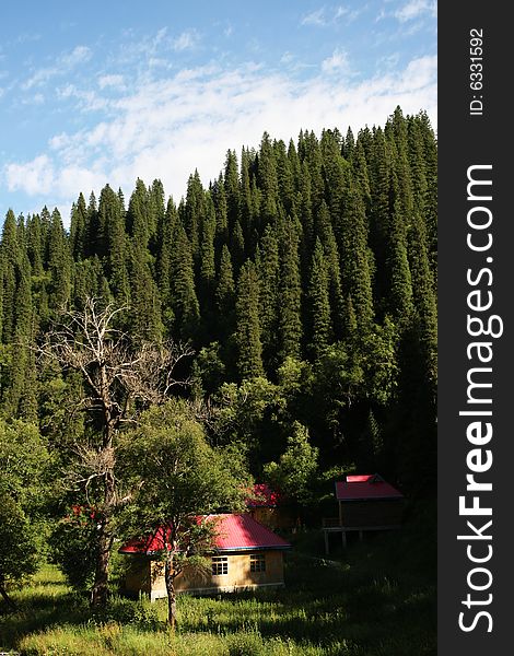 Clouds, Forest And Villa